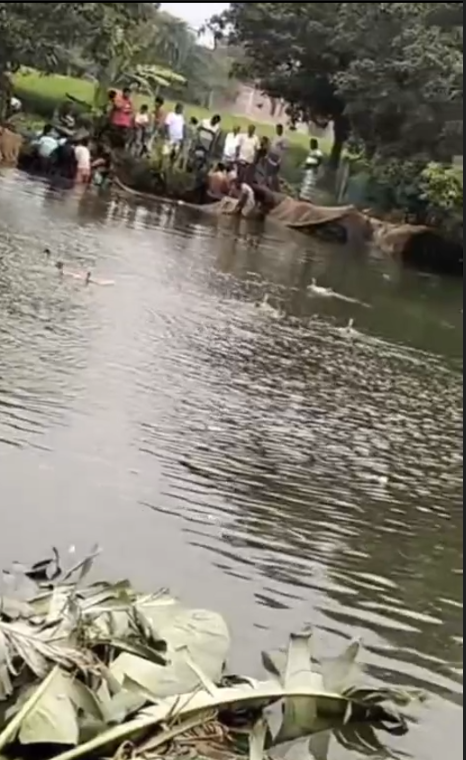 নিয়ামতপুরে জোরপূর্বক পুকুর থেকে মাছ লুটের অভিযোগ